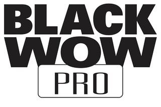 Black Wow Logo